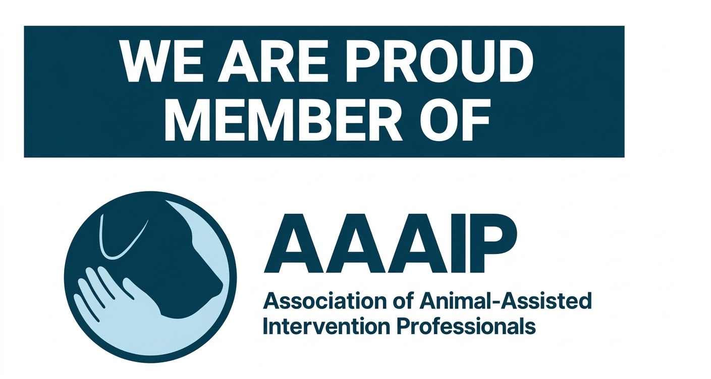 我们的战略伙伴